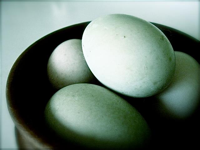 bowl containing white eggs